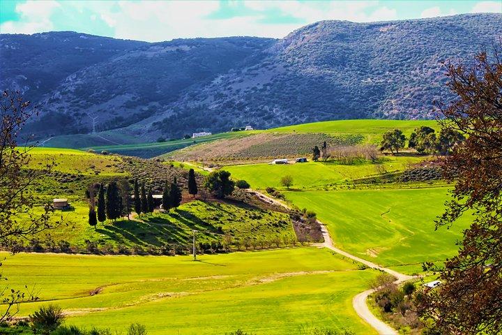 Caesarea, Haifa, Acre – Winzige Gruppe aus Tel Aviv