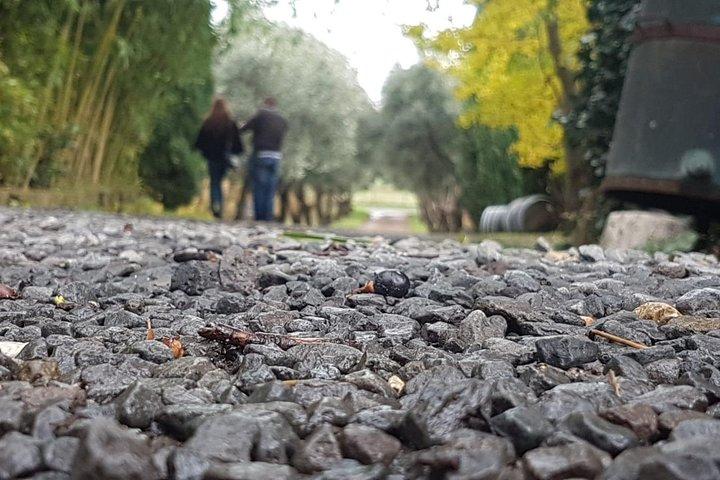 Massa Aperfeiçoada: Aventura Culinária e Vinho - Campo de Roma