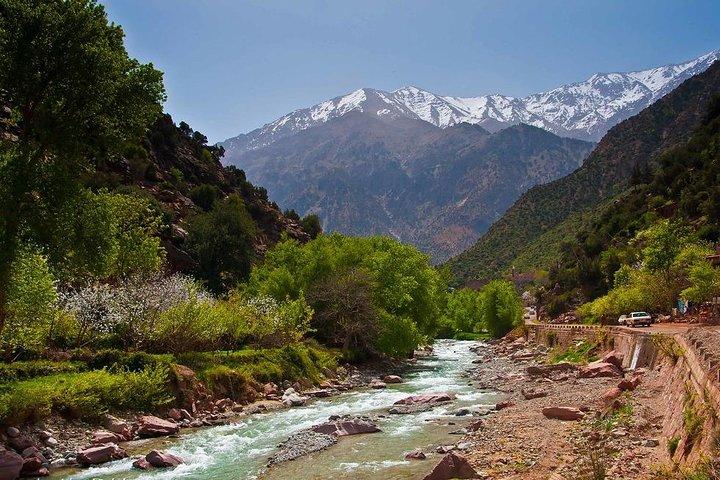 共有グループAtlas Berber Life Ourika Valley One Day
