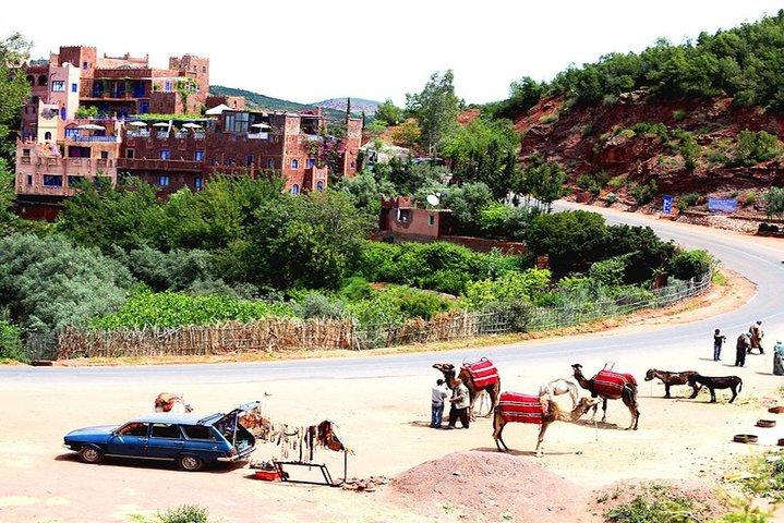 共有グループAtlas Berber Life Ourika Valley One Day