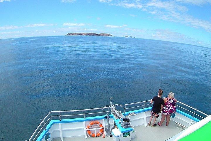 Tour en catamaran des îles Berlengas - Aller-retour