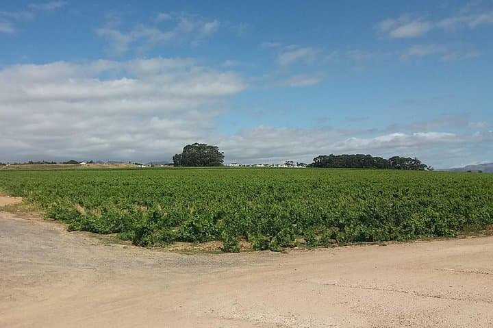 Private Visit to Wineries Stelenbosch from Cape Town Price/Group