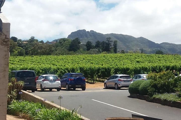 Private Visit to the Wineries Stellenbosch Franschoek from Cape Town Full Day
