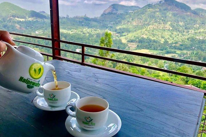 Excursion privée d'une journée à Ella au départ de Kandy