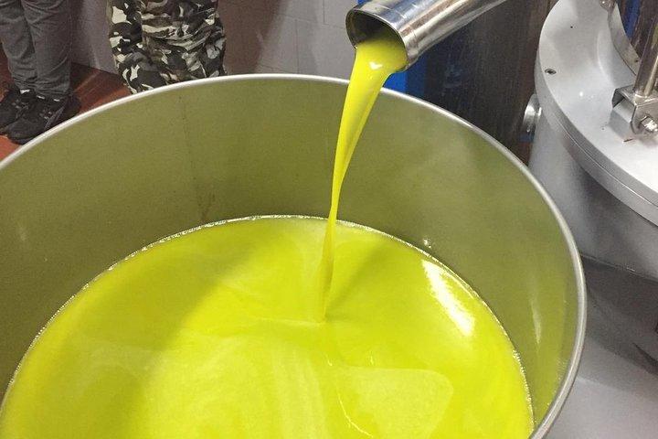 ワインとオリーブオイルの試飲会を地元民と