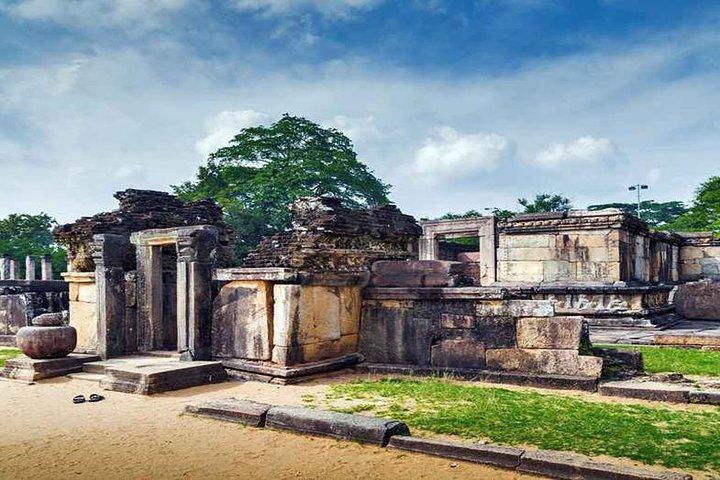 Dagstur til Anuradhapura Kingdom og Wilpattu Safari fra Colombo