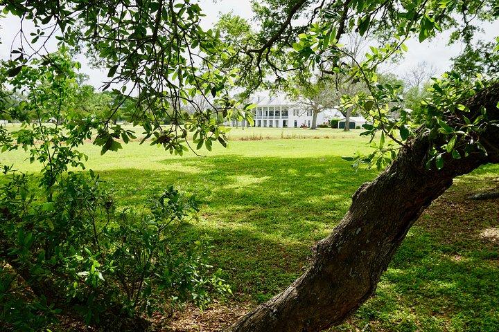 St. Joseph Plantation Tour