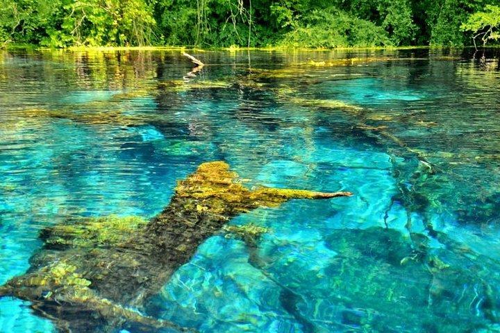Visita il Parco Nazionale di Blue Eye e il castello di Lekuresi
