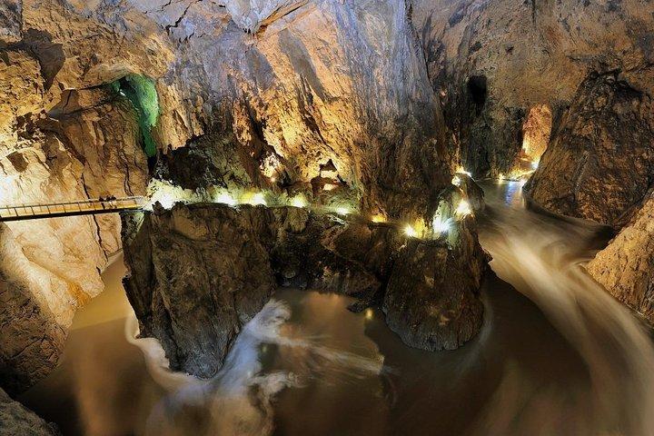 Lipica Stud Farm & Skocjan Caves - Shore Excursion from Trieste
