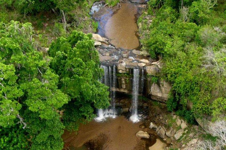Shimba Hills National Reserve-dagtour vanuit Mombasa / Diani Beach & omgeving