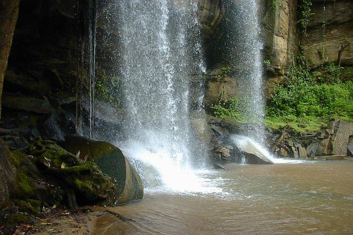 Shimba Hills National Reserve-dagtour vanuit Mombasa / Diani Beach & omgeving