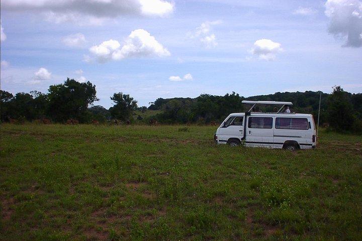 Shimba Hills National Reserve-dagtour vanuit Mombasa / Diani Beach & omgeving
