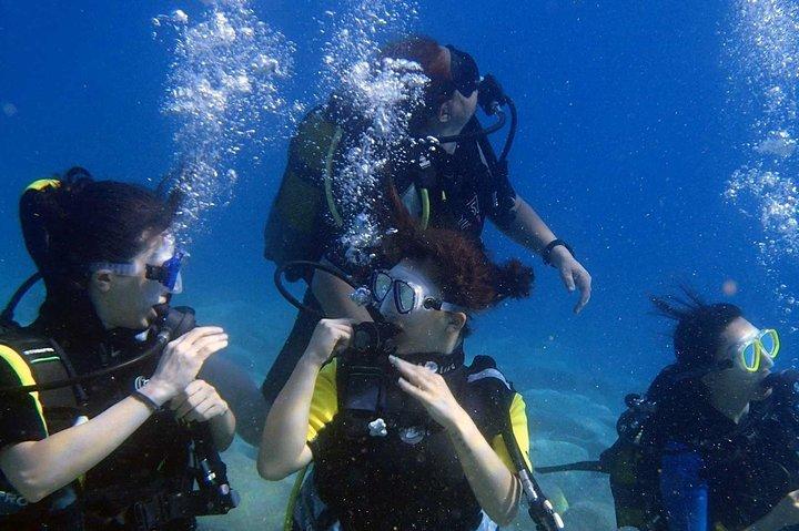 Fethiye Scuba Diving Adventure with Lunch & Pickup