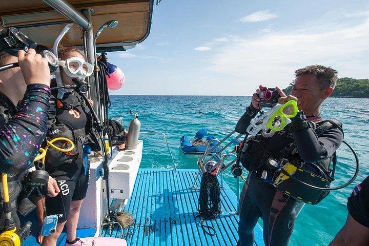 Side Scuba Diving & Under Water Museum with Lunch and Transfer