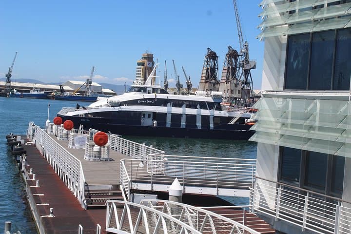Robben Island Nelson Mandela's Prison Museum + Township Tour incl Ferry Tickets