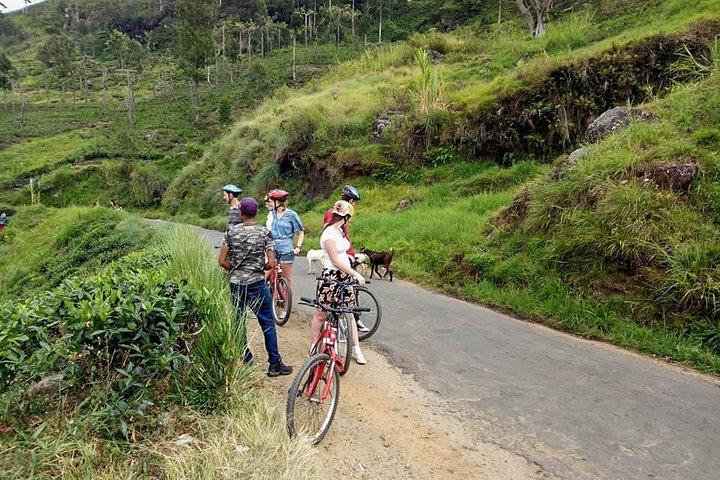 Tour in bicicletta della cascata Ellawala da Ella