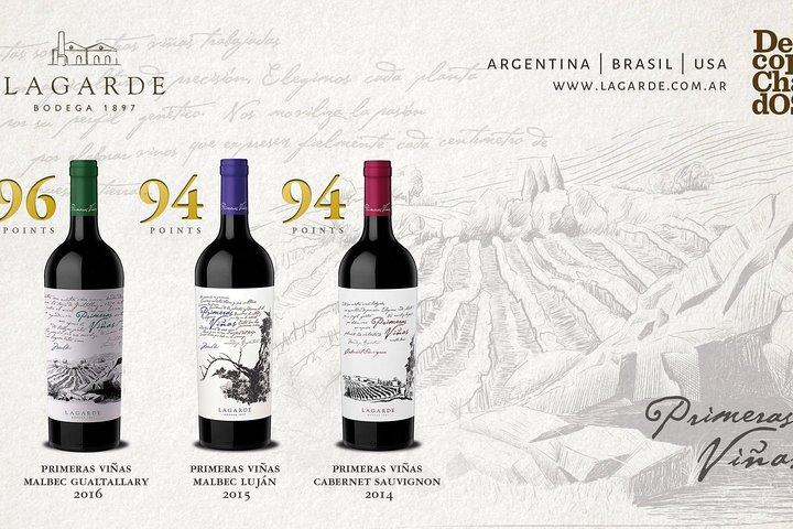 Huarpe Winery Experience & Lunch bij Lagarde. Privé transfer