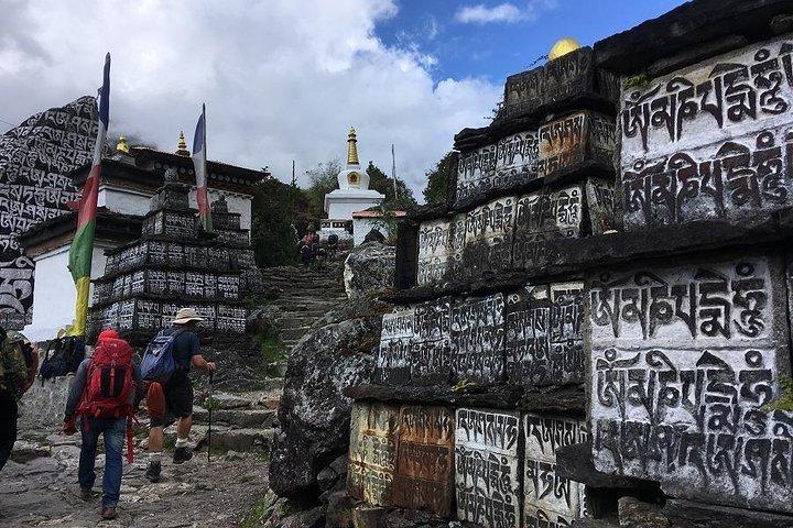 Wanderung zum Everest-Basislager