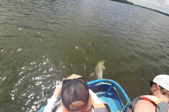 Avistamiento de delfines en Puerto El Morro desde Guayaquil
