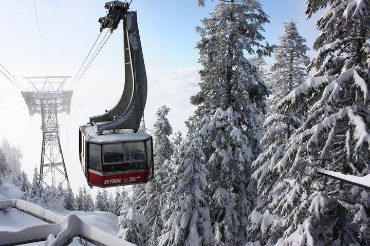 Private Capilano & Grouse Mountain — Tickets & Abholung inklusive