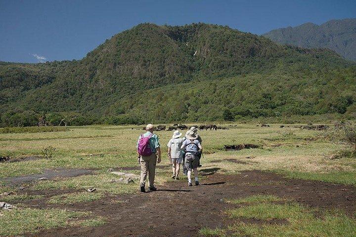Dagsturstur til Arusha National Park
