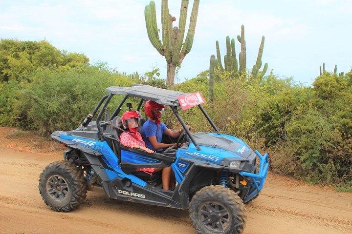Cabo Wild Desert Tour, Polaris ATV ou Razor Single, Double, Triple ou Quad!