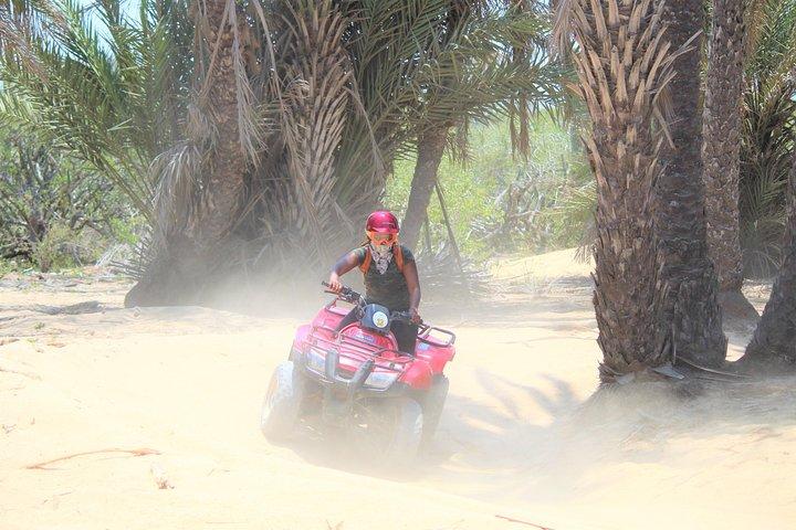 Los Cabos ATV & Horseback Riding Beach Adventure
