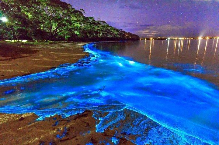 Dunn's River Falls und Luminous Lagoon Private Tour