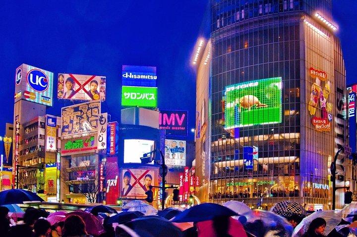 Tokyo City Night View Tour mit einheimischem japanischen Fahrer
