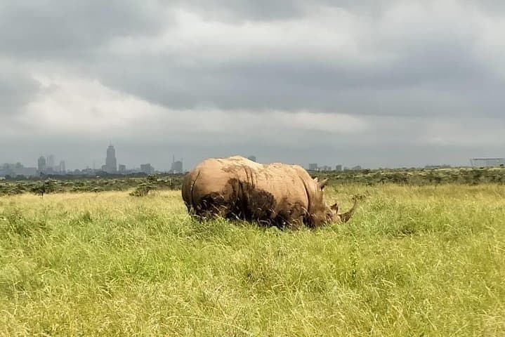 3 Days 2 Nights Amboseli Safari