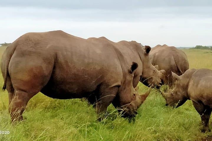 3 Days 2 Nights Amboseli Safari