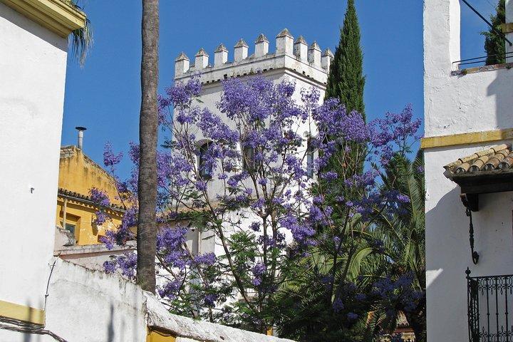 Essentieel Sevilla: Rondleiding langs de belangrijkste monumenten en Santa Cruz