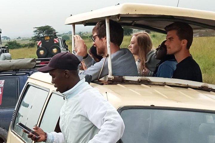 Nairobi National Park, Baby Elephant Orphanage & Giraffe Center Tour