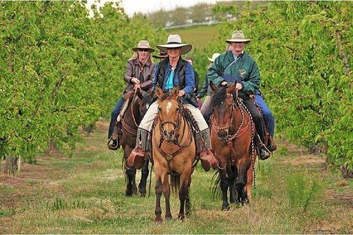 Horseback Riding, Wine Tasting in Tuscany