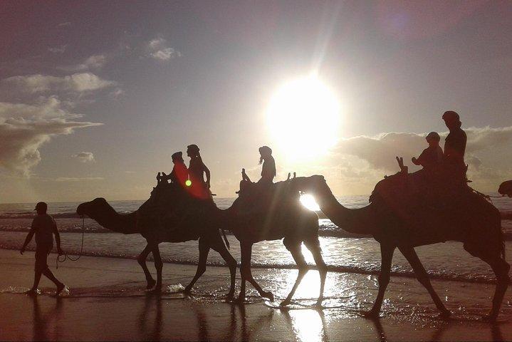 Essaouira: 2H di viaggio in cammello/prelievo e riconsegna inclusi