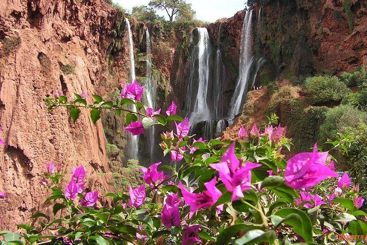 Ouzoud Falls Day Trip from Marrakech day trip