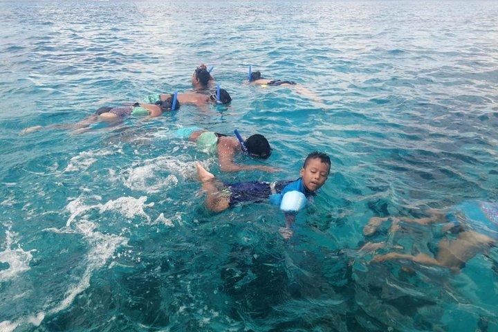 Cozumelシュノーケル体験、カンクンから素晴らしいサンゴ礁を泳ぐ