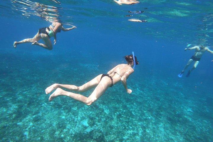 Cozumelシュノーケル体験、カンクンから素晴らしいサンゴ礁を泳ぐ