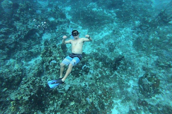 Cozumel Snorkel Experience, nada impresionantes arrecifes desde Cancún