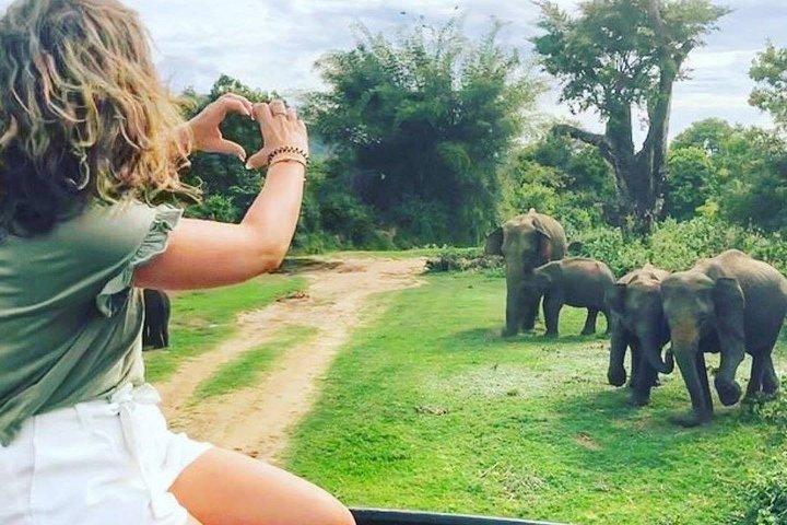 03 Days Highlights Of Sigiriya, Kandy, Nuwara Eliya , Ella & Udawalawe