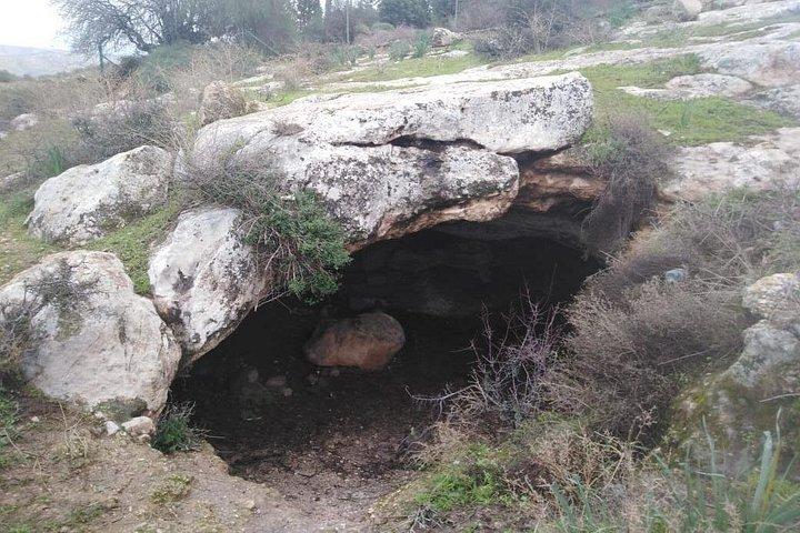 From Amman: Jerash, Umm Qais & Jesus’ Cave Tour