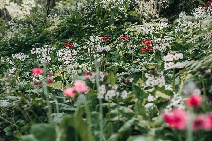 The Bloedel Reserve & Sightseeing