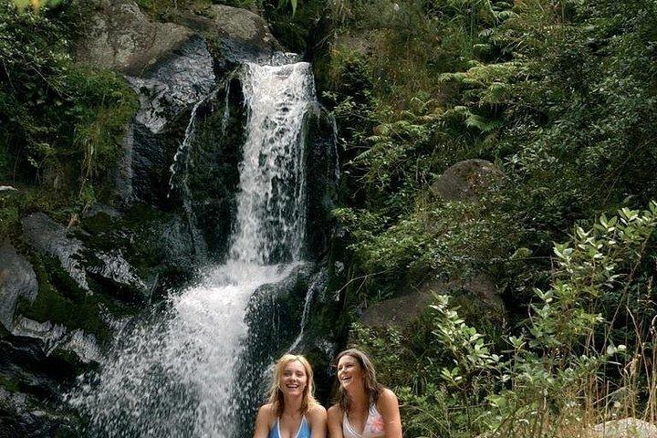 Tauranga Shore Excursion: Top Half Day Curated Highlights Tour
