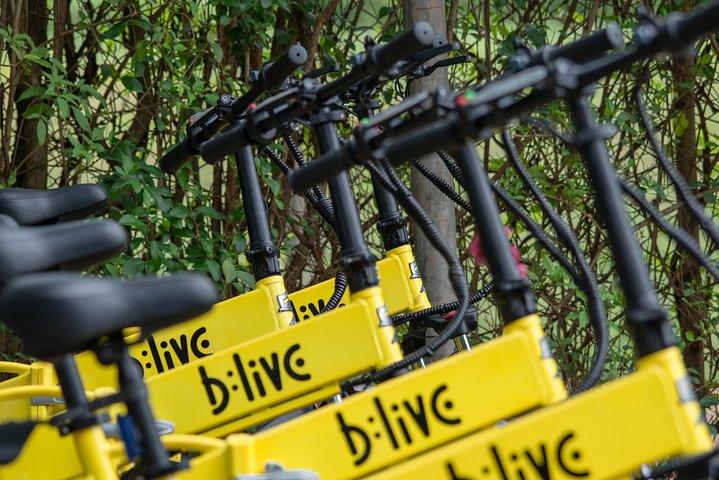 BLive Electric Bike Tours – ダイバー島の発見