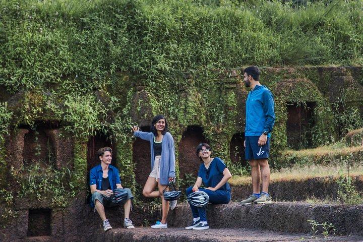 BLive Electric Bike Tours – ダイバー島の発見