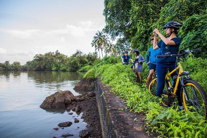BLive Electric Bike Tours – ダイバー島の発見