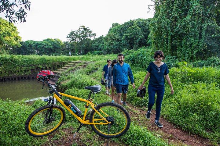 BLive Electric Bike Tours – ダイバー島の発見