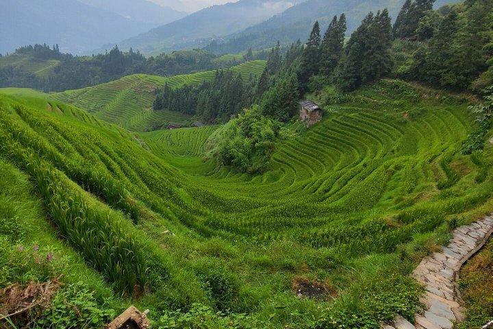 2-Days Guilin Tour Including the 4 Star Boat and Yangshuo and Longji Terraces