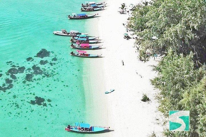 kohsamui.tours - スピード ボートによるピッグ アイランド シュノーケリング エコ ツアー