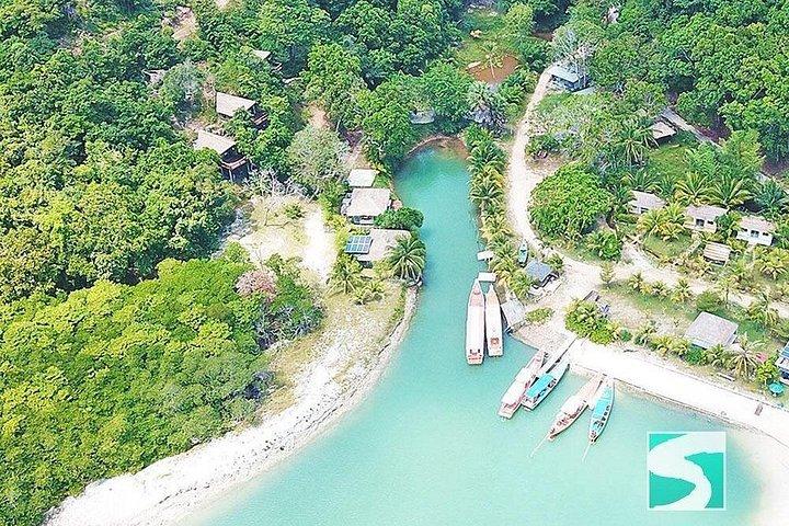 kohsamui.tours - スピード ボートによるピッグ アイランド シュノーケリング エコ ツアー